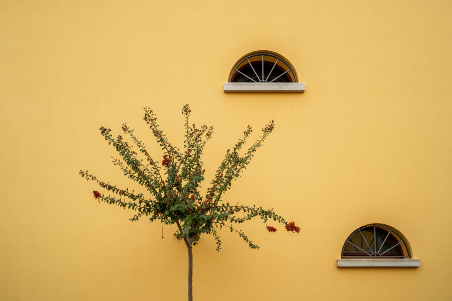 Residenza privata - WL Pitture