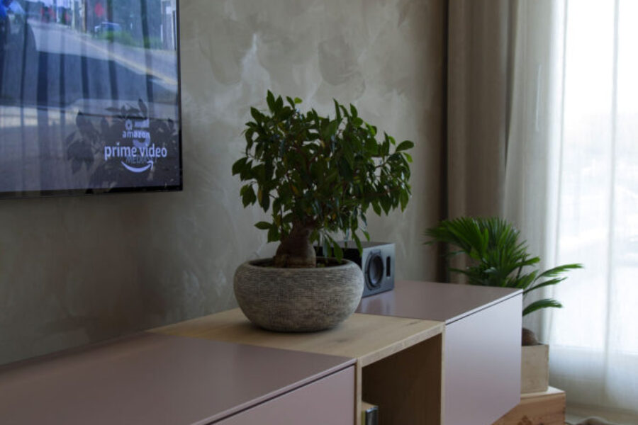 Residenza Privata - WL Pitture